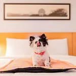Ibis Loriol Le Pouzin