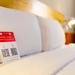 Ibis Loriol