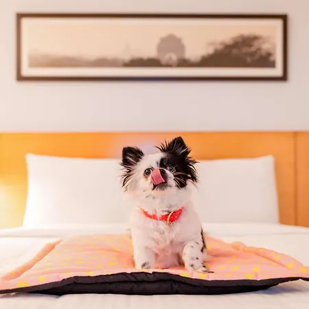 Ibis Loriol Le Pouzin