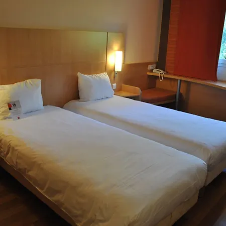 Ibis Loriol